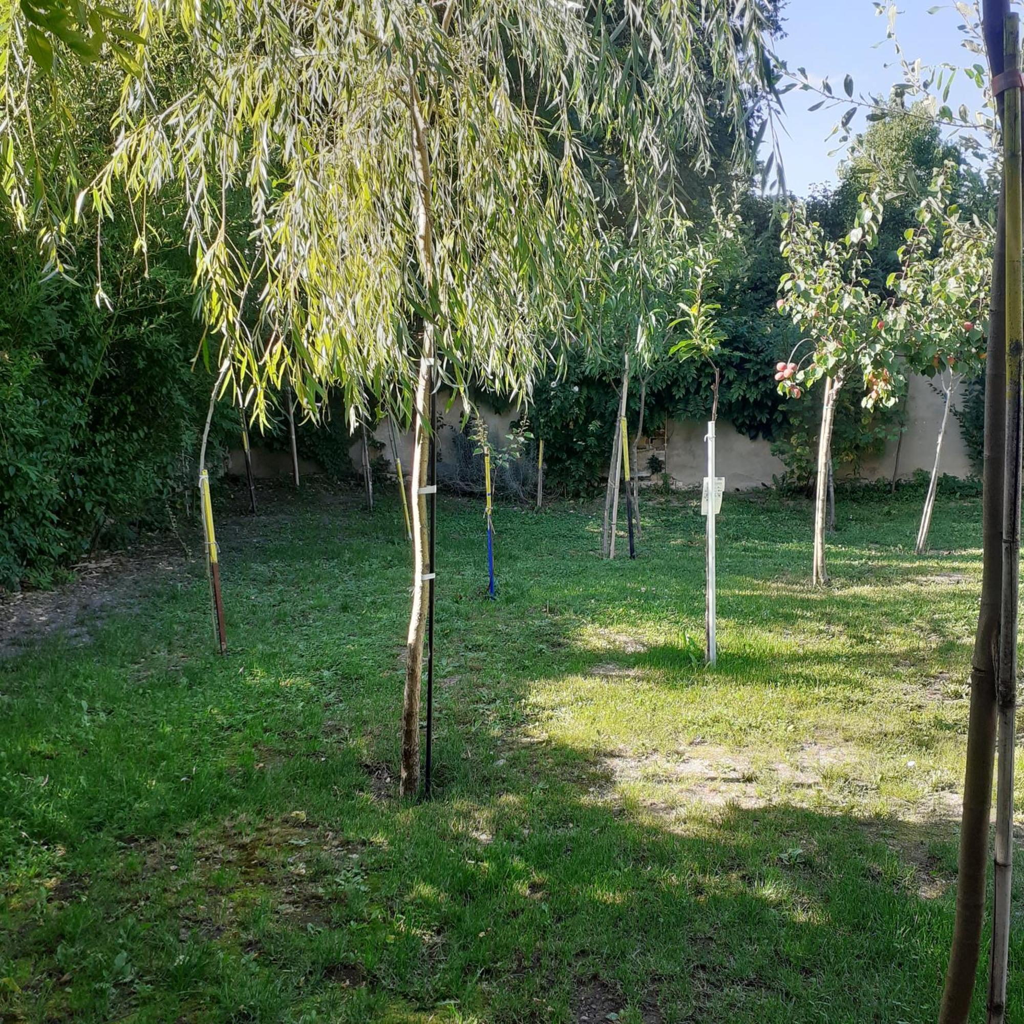 Chambres D'Hotes Gobillon Maintenon Buitenkant foto