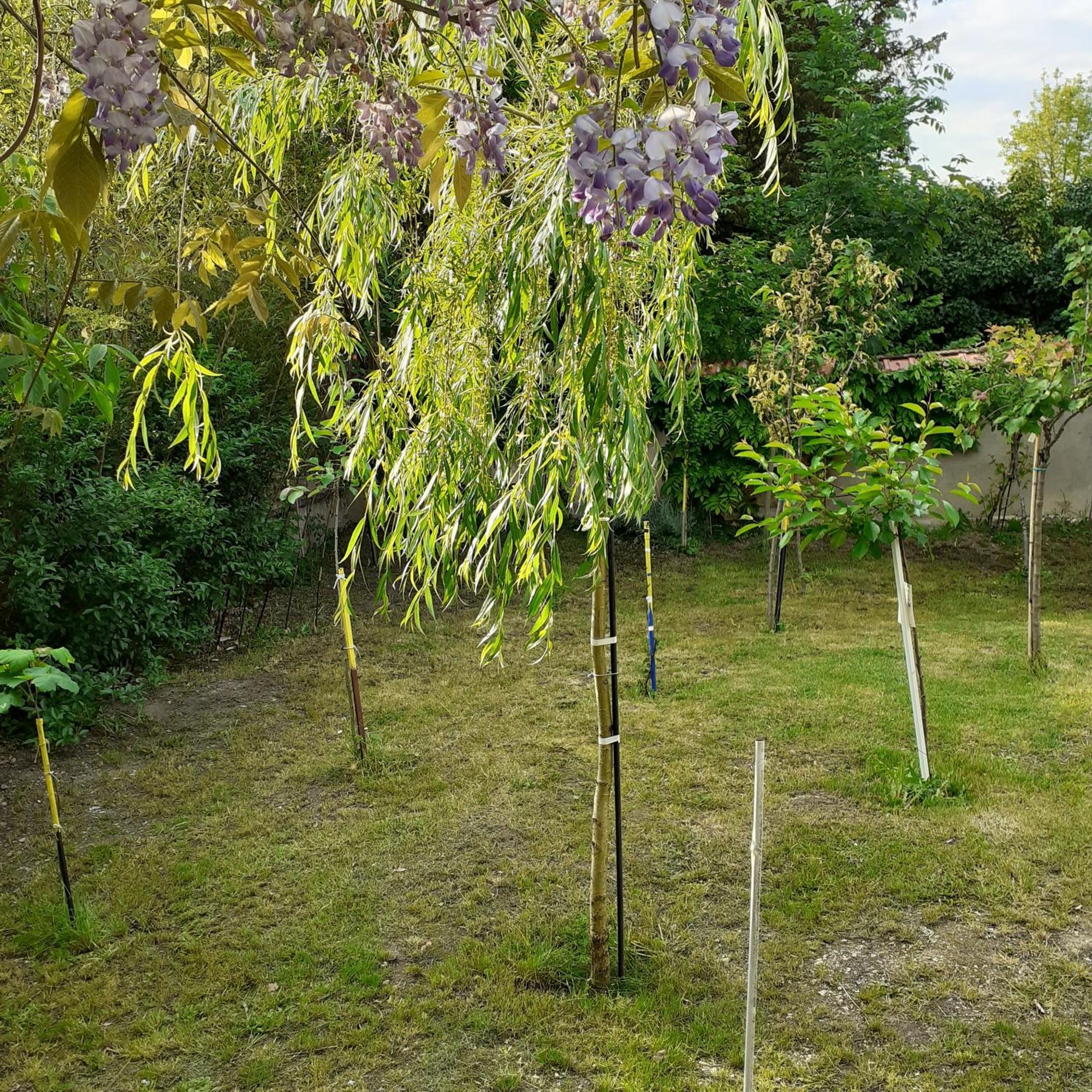 Chambres D'Hotes Gobillon Maintenon Buitenkant foto