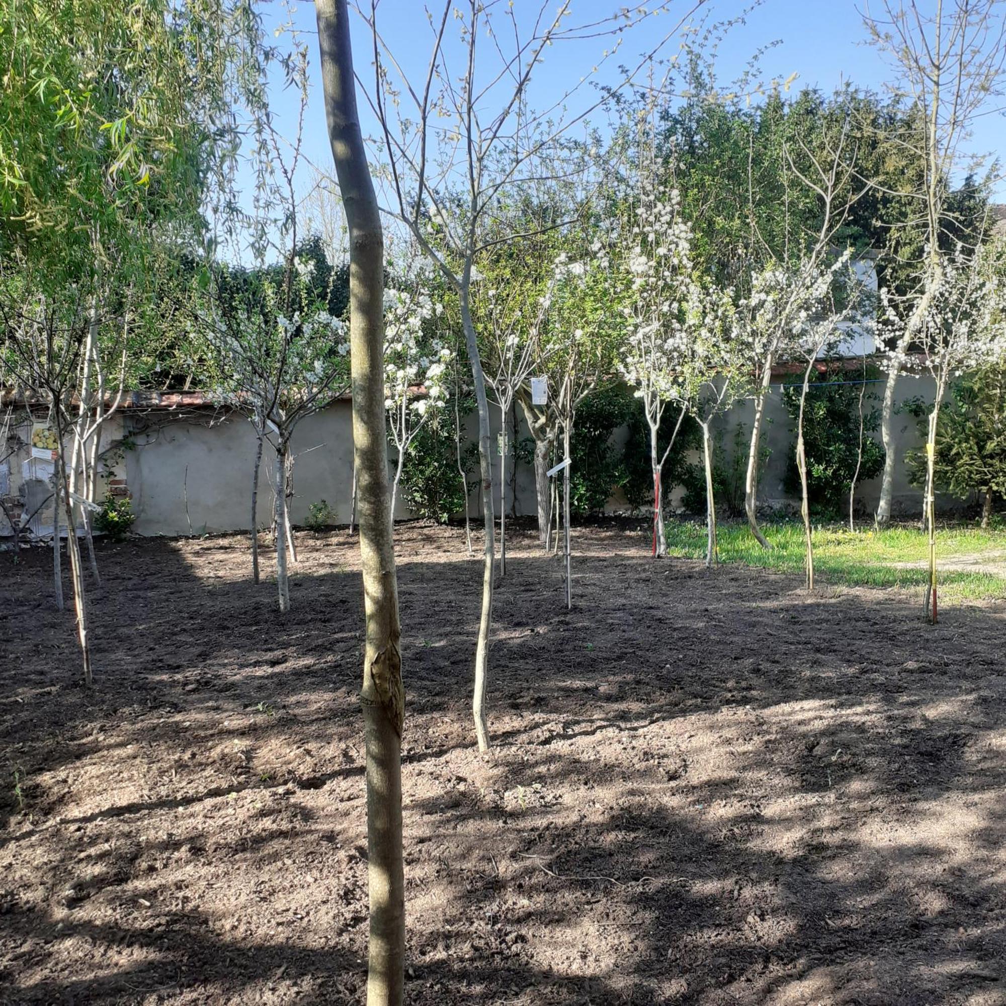 Chambres D'Hotes Gobillon Maintenon Buitenkant foto