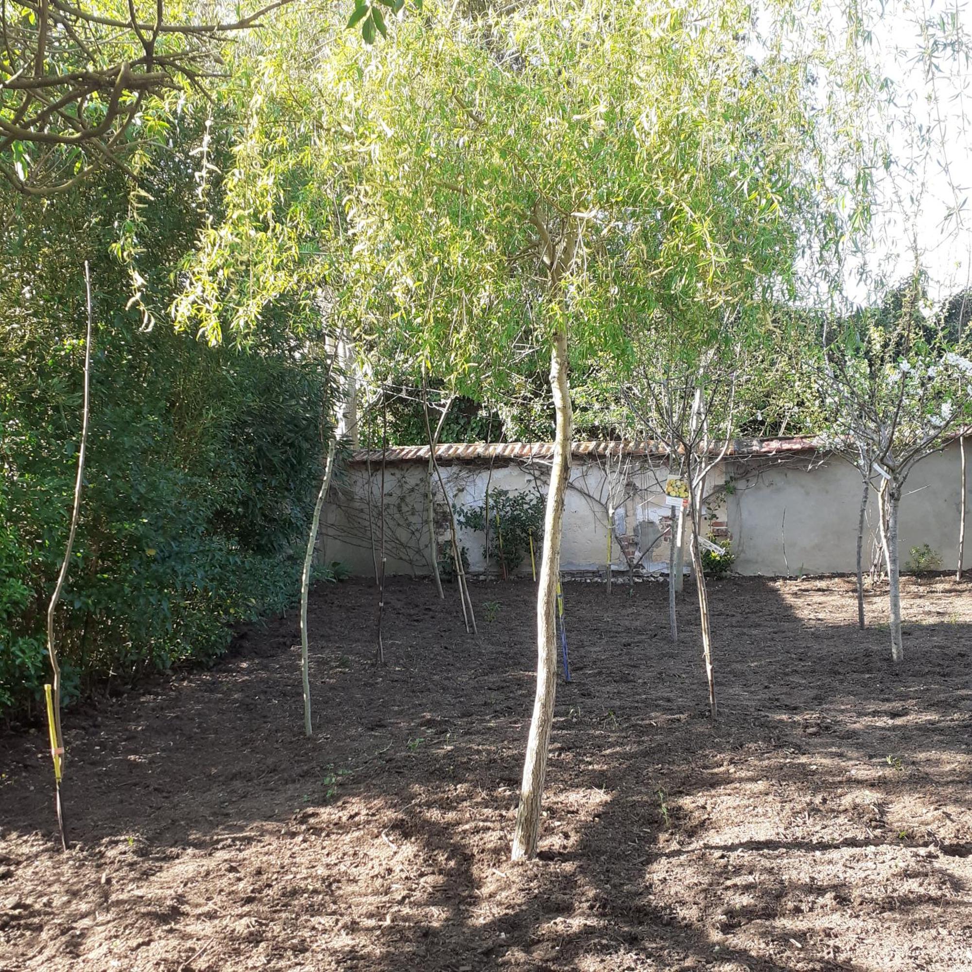 Chambres D'Hotes Gobillon Maintenon Buitenkant foto